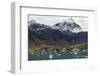 Former whaling station Grytviken, South Georgia, Antarctica, Polar Regions-Michael Runkel-Framed Photographic Print