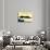 Formosa Oolong Tea-null-Stretched Canvas displayed on a wall