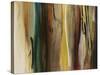 Forms in Harmony-Sarah Stockstill-Stretched Canvas