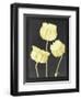 Forms in Nature 1-Stellar Design Studio-Framed Art Print