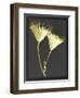 Forms in Nature 2-Stellar Design Studio-Framed Art Print