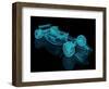 Formula One Mesh-nmcandre-Framed Photographic Print