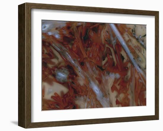 Fornax-Jason Jade-Framed Giclee Print