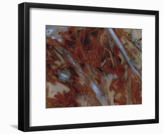 Fornax-Jason Jade-Framed Giclee Print