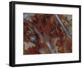 Fornax-Jason Jade-Framed Giclee Print