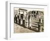 Foro Triangolare, Pompeii, Italy, C1900s-null-Framed Giclee Print