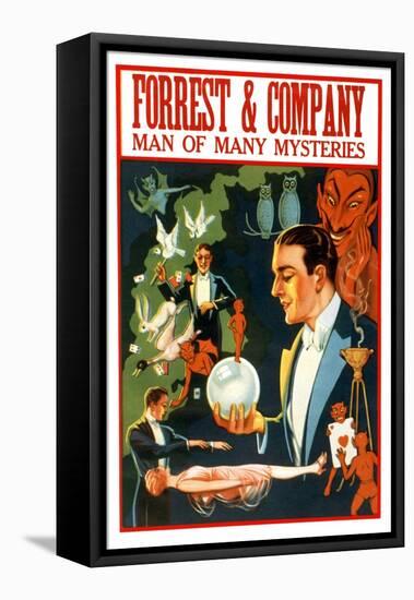 Forrest and Company: Man of Many Mysteries-null-Framed Stretched Canvas