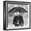 Forster's Umbrella Support, 1888-Science Source-Framed Giclee Print