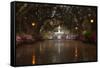 Forsyth Park Fountain with Spring Azaleas, Savannah, Georgia, USA-Joanne Wells-Framed Stretched Canvas