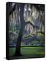 Forsyth Pk, Savannah-J.D. Mcfarlan-Framed Stretched Canvas