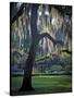 Forsyth Pk, Savannah-J.D. Mcfarlan-Stretched Canvas