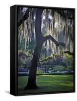 Forsyth Pk, Savannah-J.D. Mcfarlan-Framed Stretched Canvas