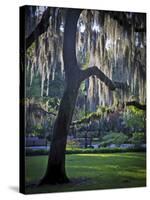 Forsyth Pk, Savannah-J.D. Mcfarlan-Stretched Canvas