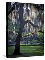 Forsyth Pk, Savannah-J.D. Mcfarlan-Stretched Canvas