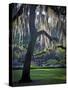 Forsyth Pk, Savannah-J.D. Mcfarlan-Stretched Canvas