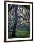 Forsyth Pk, Savannah-J.D. Mcfarlan-Framed Photographic Print