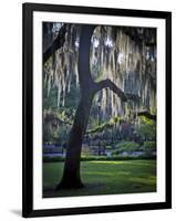 Forsyth Pk, Savannah-J.D. Mcfarlan-Framed Photographic Print