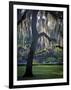 Forsyth Pk, Savannah-J.D. Mcfarlan-Framed Photographic Print