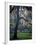 Forsyth Pk, Savannah-J.D. Mcfarlan-Framed Photographic Print