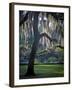 Forsyth Pk, Savannah-J.D. Mcfarlan-Framed Photographic Print