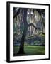 Forsyth Pk, Savannah-J.D. Mcfarlan-Framed Photographic Print