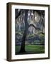 Forsyth Pk, Savannah-J.D. Mcfarlan-Framed Photographic Print