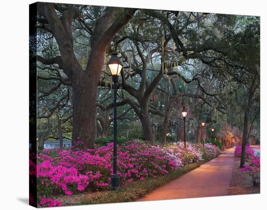 Forsythe Park-Winthrope Hiers-Stretched Canvas