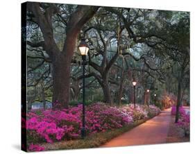 Forsythe Park-Winthrope Hiers-Stretched Canvas