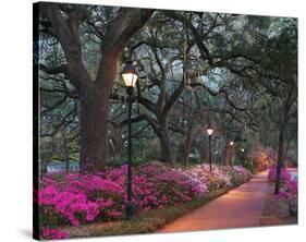 Forsythe Park-Winthrope Hiers-Stretched Canvas