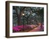 Forsythe Park-Winthrope Hiers-Framed Photographic Print