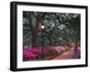 Forsythe Park-Winthrope Hiers-Framed Photographic Print