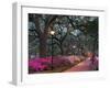 Forsythe Park-Winthrope Hiers-Framed Photographic Print