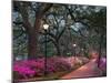 Forsythe Park-Winthrope Hiers-Mounted Photographic Print