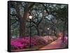 Forsythe Park-Winthrope Hiers-Framed Stretched Canvas