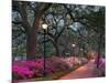 Forsythe Park-Winthrope Hiers-Mounted Photographic Print