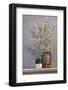 Forsythia-Ray Hendershot-Framed Giclee Print