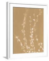 Forsythia-Sarah Cheyne-Framed Giclee Print