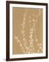 Forsythia-Sarah Cheyne-Framed Giclee Print