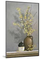 Forsythia-Ray Hendershot-Mounted Art Print