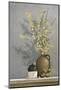 Forsythia-Ray Hendershot-Mounted Art Print