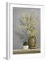 Forsythia-Ray Hendershot-Framed Art Print