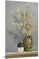 Forsythia-Ray Hendershot-Mounted Art Print