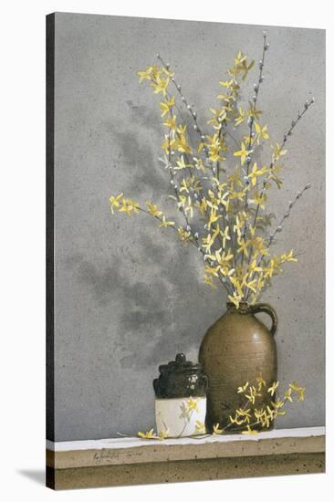 Forsythia-Ray Hendershot-Stretched Canvas