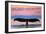 Fort Bragg, California - Whale Fluke and Sunset-Lantern Press-Framed Art Print