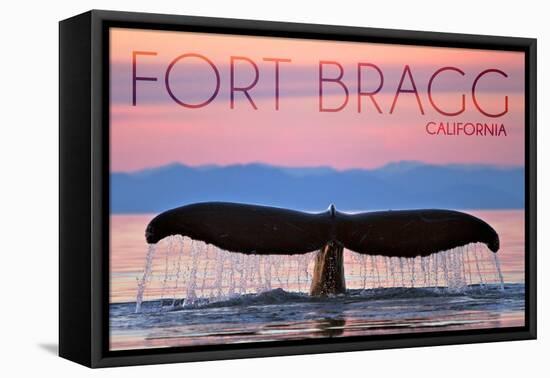 Fort Bragg, California - Whale Fluke and Sunset-Lantern Press-Framed Stretched Canvas