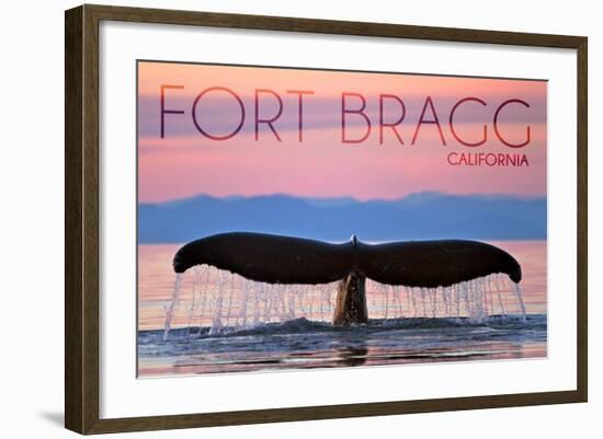 Fort Bragg, California - Whale Fluke and Sunset-Lantern Press-Framed Art Print