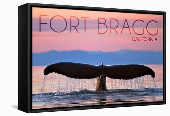 Fort Bragg, California - Whale Fluke and Sunset-Lantern Press-Framed Stretched Canvas