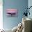 Fort Bragg, California - Whale Fluke and Sunset-Lantern Press-Stretched Canvas displayed on a wall