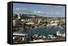 Fort De France, Martinique, Windward Islands, West Indies, Caribbean, Central America-Tony-Framed Stretched Canvas