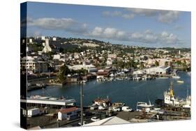 Fort De France, Martinique, Windward Islands, West Indies, Caribbean, Central America-Tony-Stretched Canvas